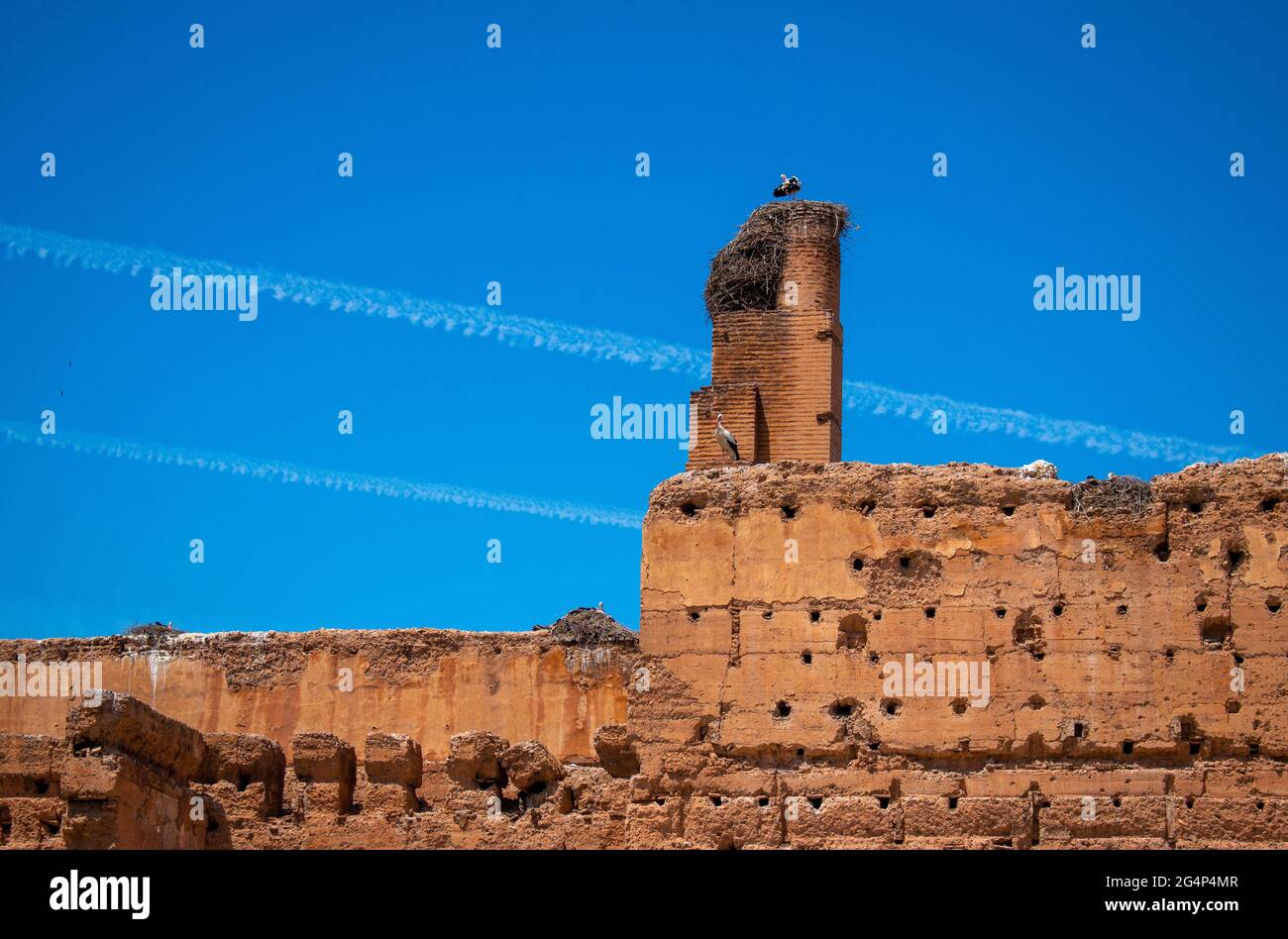 Cigognes au palais El Badi, un palais en ruines à Marrakech, au Maroc Banque D'Images