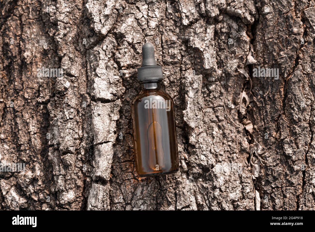 Huile de sérum dans une bouteille de maquillage en verre ambré sur l'écorce d'arbre, vue de dessus. Sérum anti-âge avec collagène et peptide. Concept de sciences organiques. Soin de la peau beauté Banque D'Images