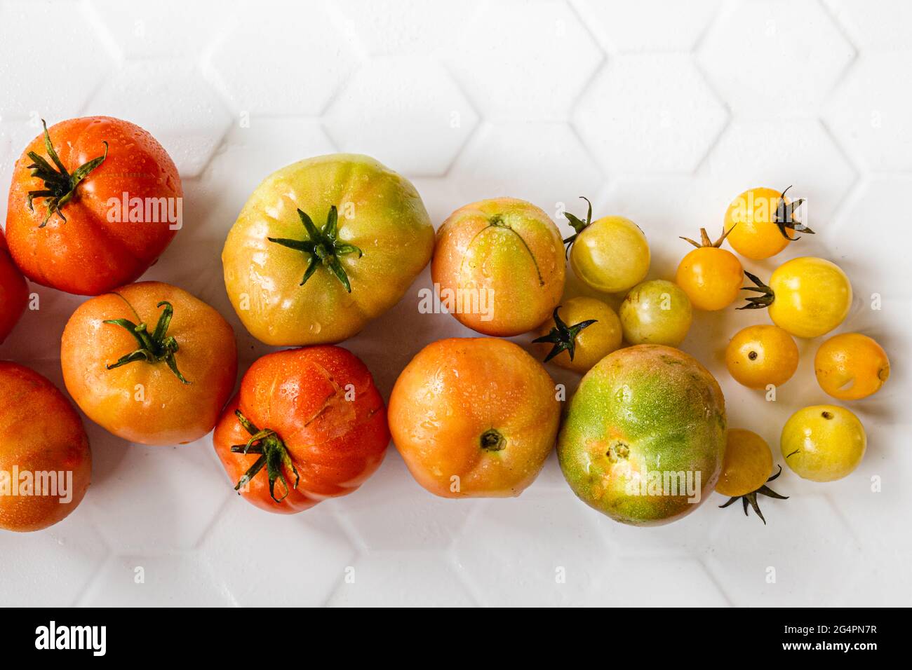 Tomates organiquement maison dans différentes nuances de rouges, d'oranges et de jaunes, y compris les tomates cerises Banque D'Images