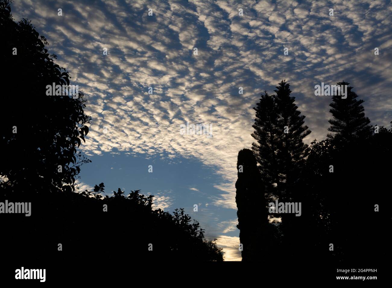 Nuage d'Altocumulus Floccus à Sydney, en Australie Banque D'Images