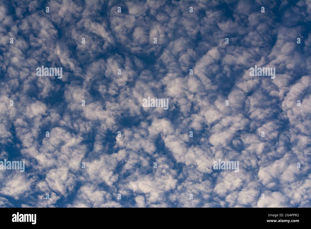 Nuage d'Altocumulus Floccus à Sydney, en Australie Banque D'Images