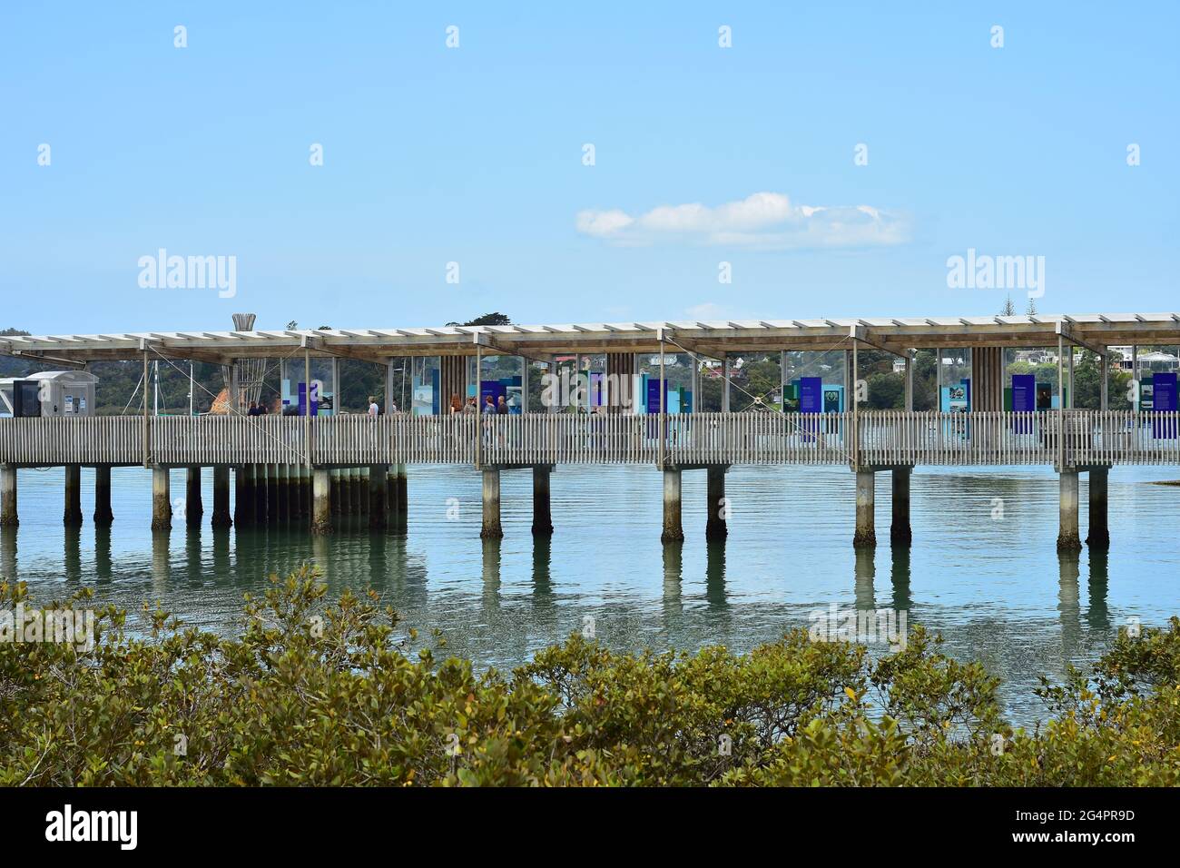 Jetée sur des poteaux en béton menant au terminal de traversier de passagers dans un estuaire calme avec des mangroves côtières. Banque D'Images