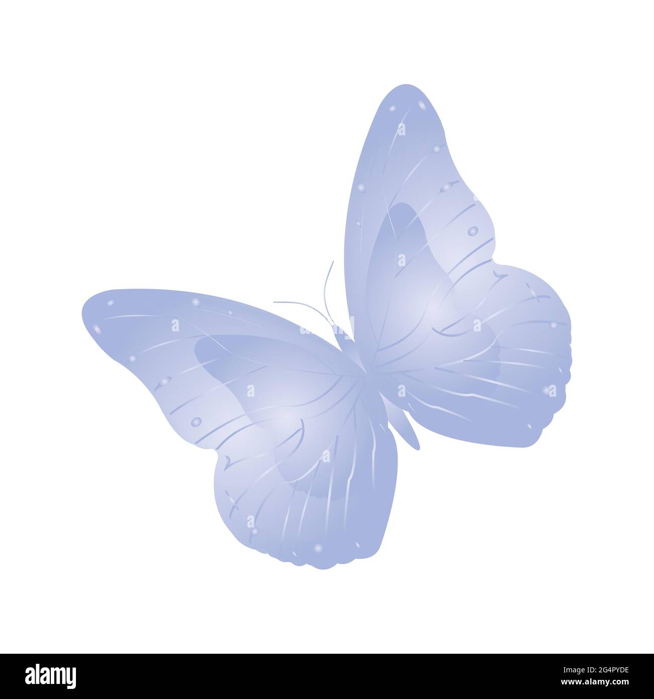 Papillon, papillon bleu doux Banque D'Images