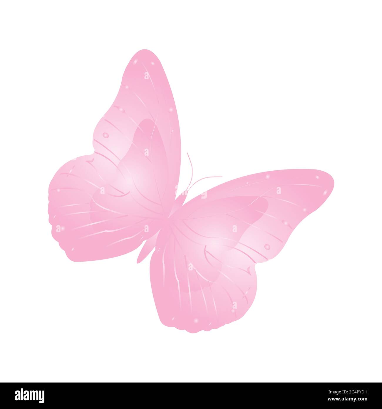 Papillon, papillon rose doux Banque D'Images