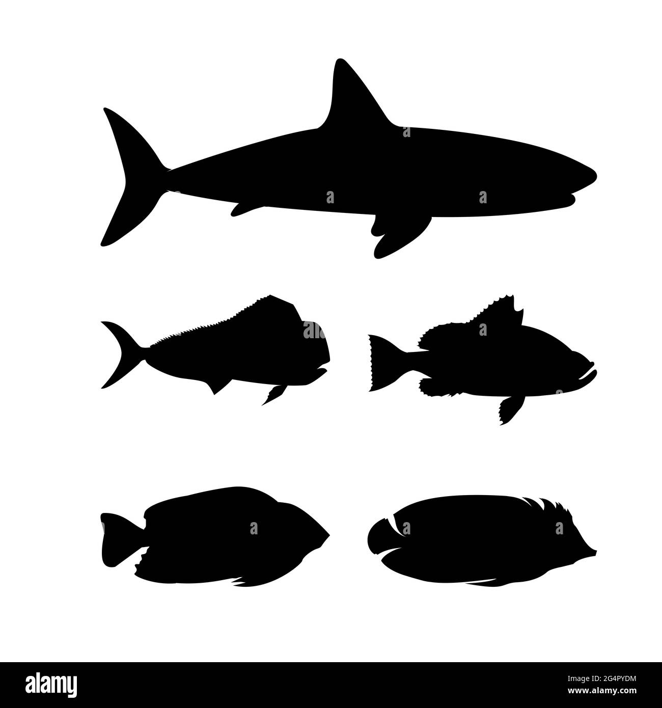 Clipart découpages poissons Banque D'Images