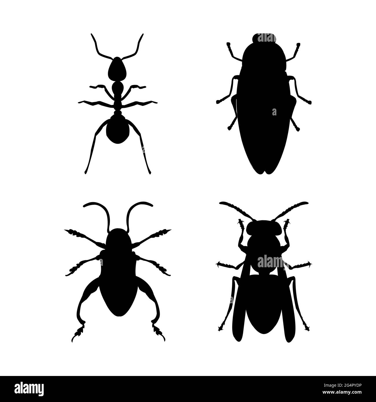 Ant d'insectes et de découpages clipart Banque D'Images