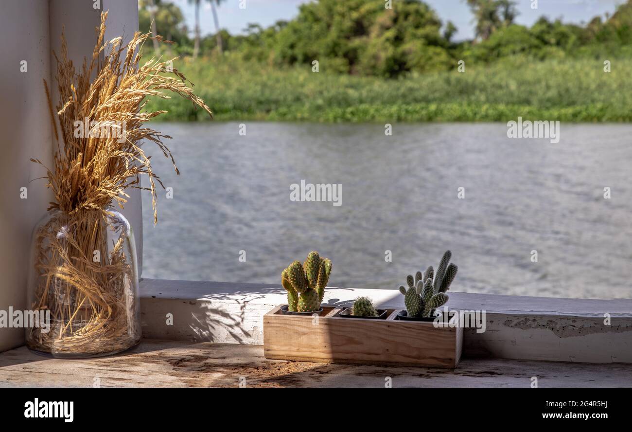Coin reposant au bord de la rivière avec une oreille de riz séchée dans un pot en verre et un petit cactus dans un pot de plantes en bois pour la décoration sur le vieux tabl en bois Banque D'Images