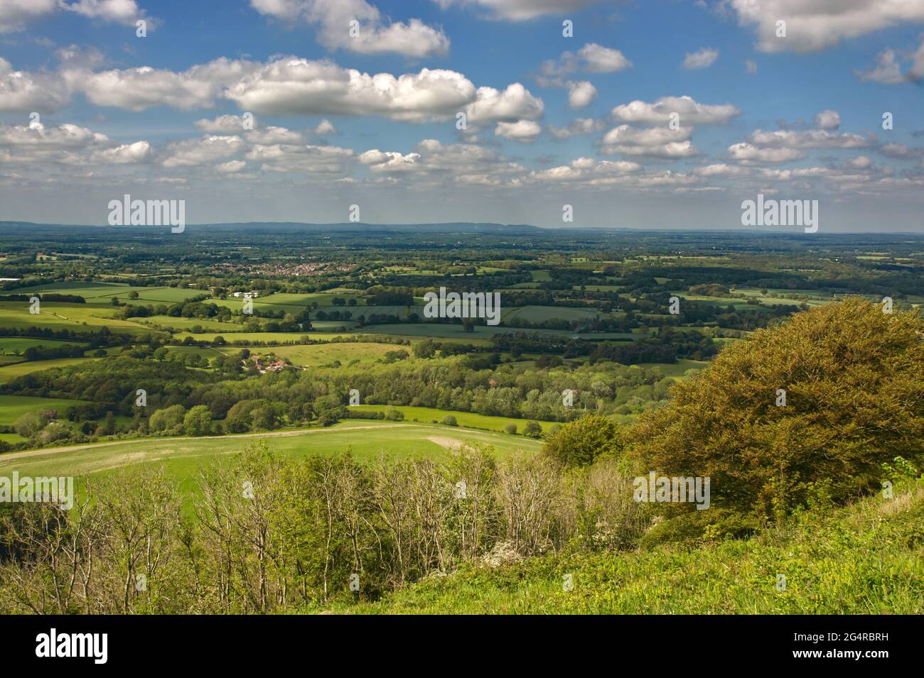 Vue vers le nord depuis la colline de Chantonbury sur les South Downs près de Worthing, West Sussex, Angleterre. North Downs à distance. Banque D'Images