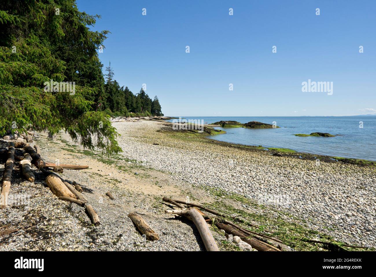 Belle côte à Gibsons, en Colombie-Britannique, au Canada, sur la Sunshine Coast. Banque D'Images