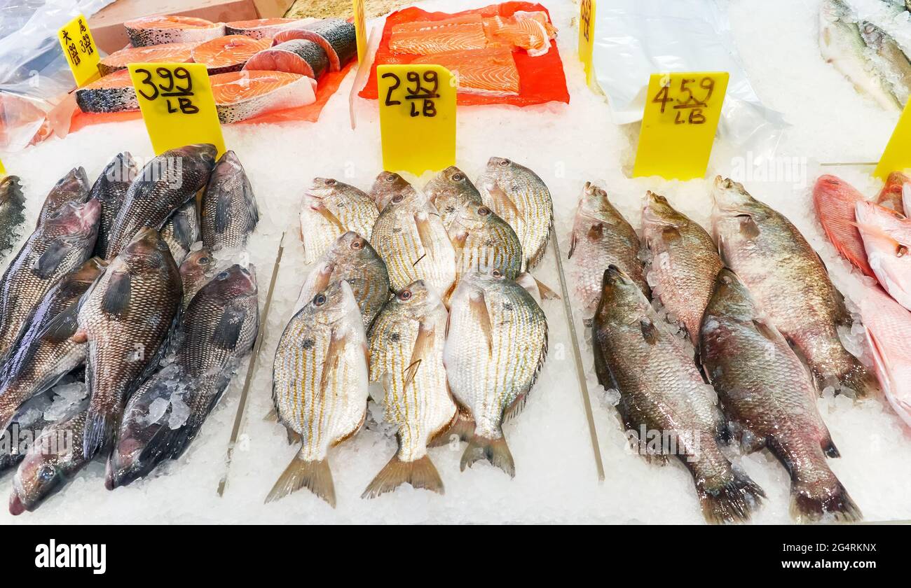 Poisson frais avec prix sur glace au magasin Chinatown de New York, concentration sélective. Banque D'Images