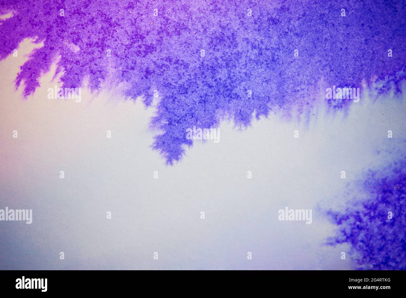 L'encre rose bleue s'étend Banque D'Images