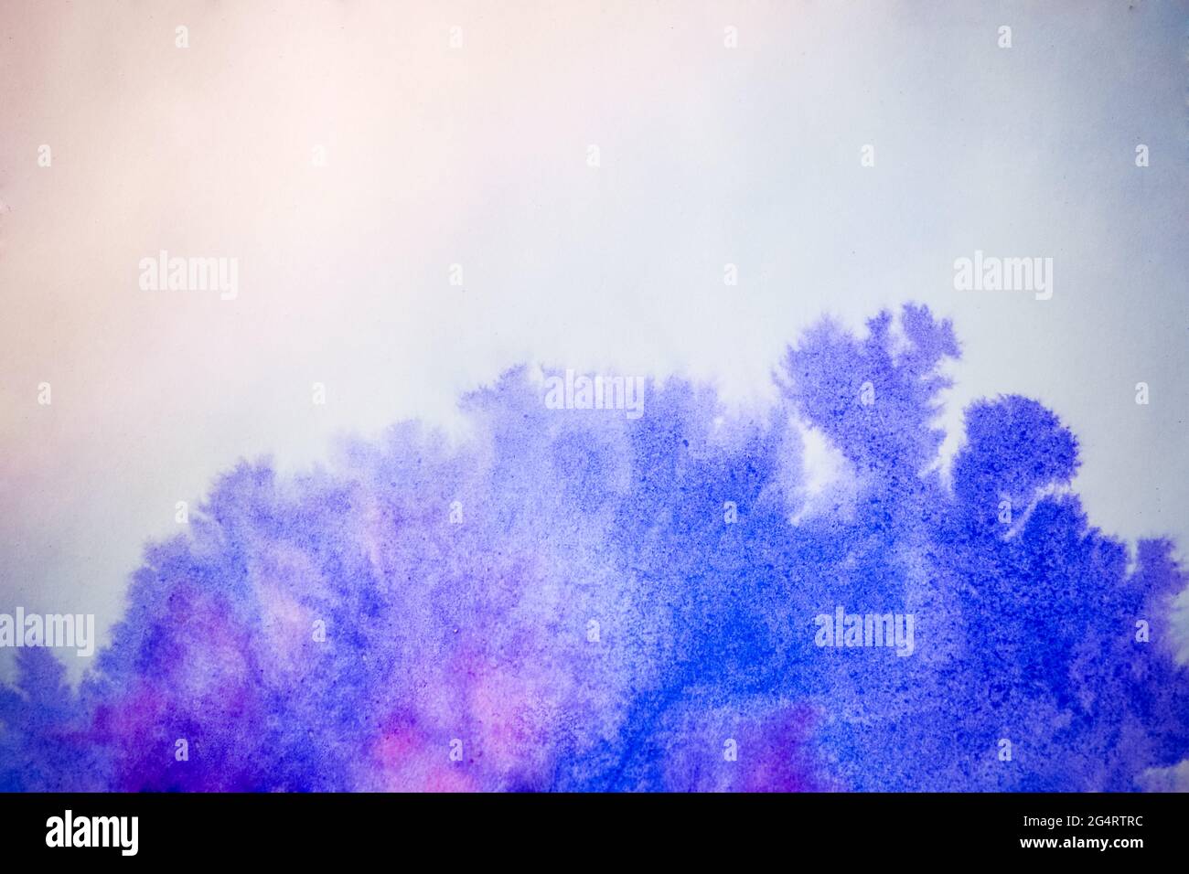 L'encre rose bleue s'étend Banque D'Images