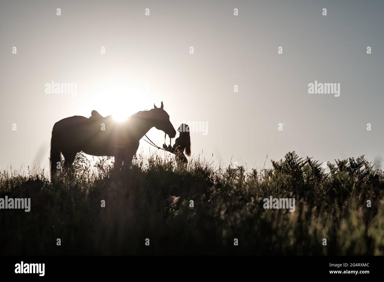 Jeune femme prendre soin de son cheval Banque D'Images