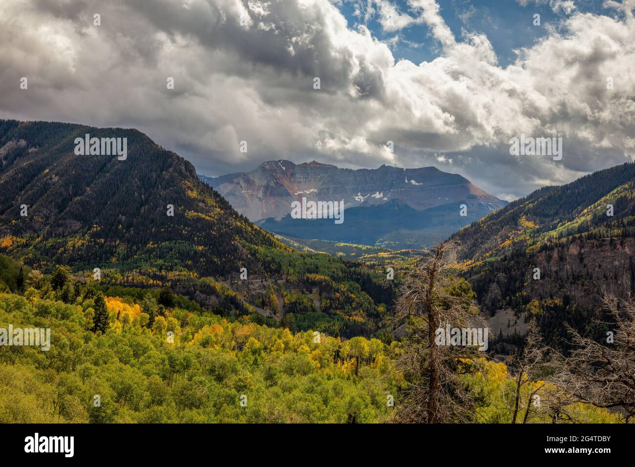 Vue vers le sud sur le Skyway de San Juan près d'Ophir, Colorado Banque D'Images