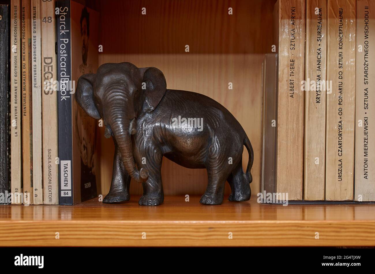 figurine d'éléphant de bronze sur une étagère parmi les livres Banque D'Images
