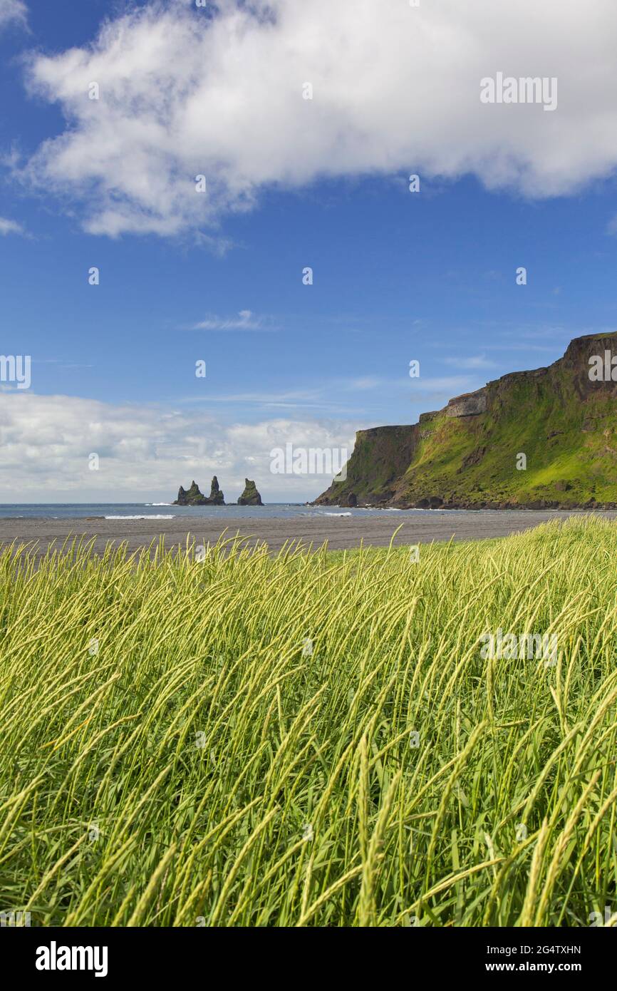 Reynisdrangar, piles de basalte près du village de Vík í Mýrdal en été, dans le sud de l'Islande Banque D'Images