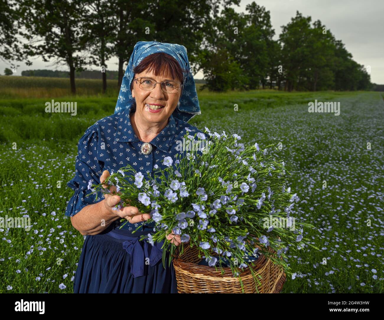 22 juin 2021, Brandebourg, Dürrenhofe: Gisela Christl (Spreewald Christl) se dresse en costume sorabe-Wendish sur la touche d'une conférence de presse sur la fleur de lin dans un domaine de la coopérative agricole Unterspreewald, par exemple avec du lin d'huile en fleur. Le lin, dont les meuleuses pressent l'huile de lin « Preewald », pousse sur environ 160 hectares de terres arables dans la région du Spreewald. En raison du temps chaud, les cultures de lin commencent actuellement à fleurir. La graine de lin est une culture traditionnelle du Spreewald. La production d'huile de lin est enracinée dans la région depuis des générations. Banque D'Images