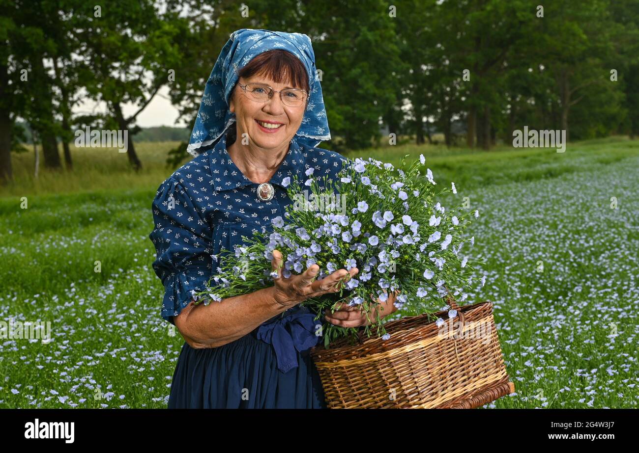 22 juin 2021, Brandebourg, Dürrenhofe: Gisela Christl (Spreewald Christl) se dresse en costume sorabe-Wendish sur la touche d'une conférence de presse sur la fleur de lin dans un domaine de la coopérative agricole Unterspreewald, par exemple avec du lin d'huile en fleur. Le lin, dont les meuleuses pressent l'huile de lin « Preewald », pousse sur environ 160 hectares de terres arables dans la région du Spreewald. En raison du temps chaud, les cultures de lin commencent actuellement à fleurir. La graine de lin est une culture traditionnelle du Spreewald. La production d'huile de lin est enracinée dans la région depuis des générations. Banque D'Images