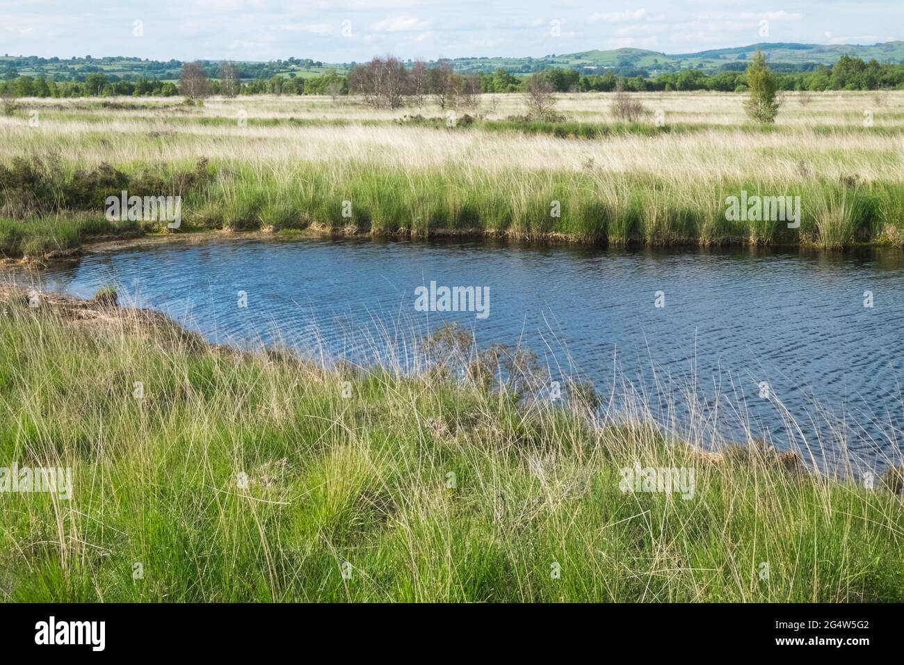 Le CORS Caron est une tourbière surélevée à Ceredigion, au pays de Galles.CORS est le mot gallois pour 'bog': Le site est également connu sous le nom de Tregaron Bog, étant près de la petite ville de Tregaron.Le CORS Caron couvre une superficie d'environ 349 hectares.Le CORS Caron représente l'exemple le plus intact d'un paysage de tourbières en relief au Royaume-Uni.Environ 44 groupes d'espèces différents habitent la région, y compris divers plantes terrestres et aquatiques, poissons, insectes, crustacés, lichen,Champignons, mammifères terrestres et oiseaux. La réserve naturelle nationale de Cors Caron est une vaste zone de terres humides qui remplit la vaste vallée de la rivière Teifi près Banque D'Images