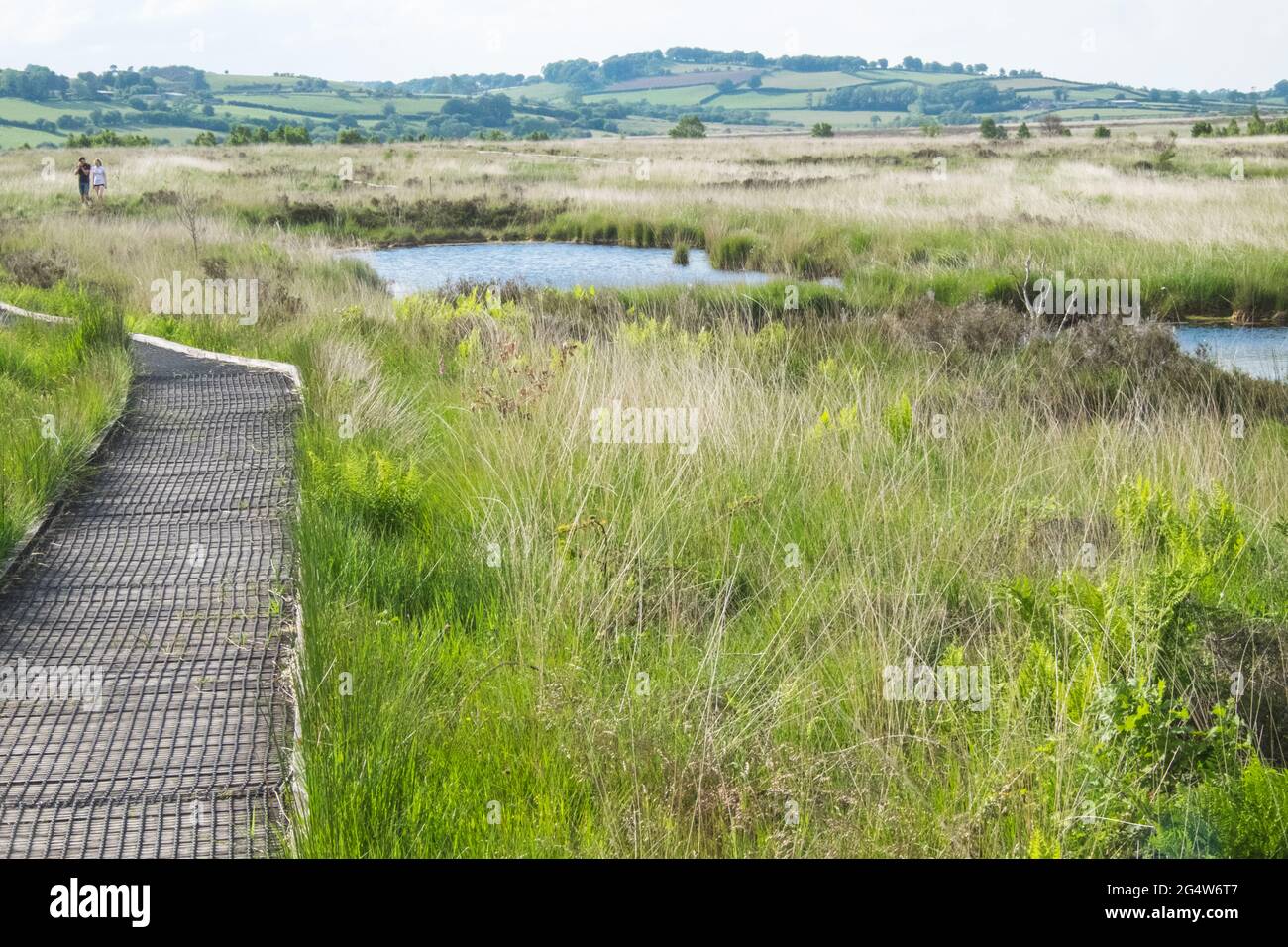 Le CORS Caron est une tourbière surélevée à Ceredigion, au pays de Galles.CORS est le mot gallois pour 'bog': Le site est également connu sous le nom de Tregaron Bog, étant près de la petite ville de Tregaron.Le CORS Caron couvre une superficie d'environ 349 hectares.Le CORS Caron représente l'exemple le plus intact d'un paysage de tourbières en relief au Royaume-Uni.Environ 44 groupes d'espèces différents habitent la région, y compris divers plantes terrestres et aquatiques, poissons, insectes, crustacés, lichen,Champignons, mammifères terrestres et oiseaux. La réserve naturelle nationale de Cors Caron est une vaste zone de terres humides qui remplit la vaste vallée de la rivière Teifi près Banque D'Images