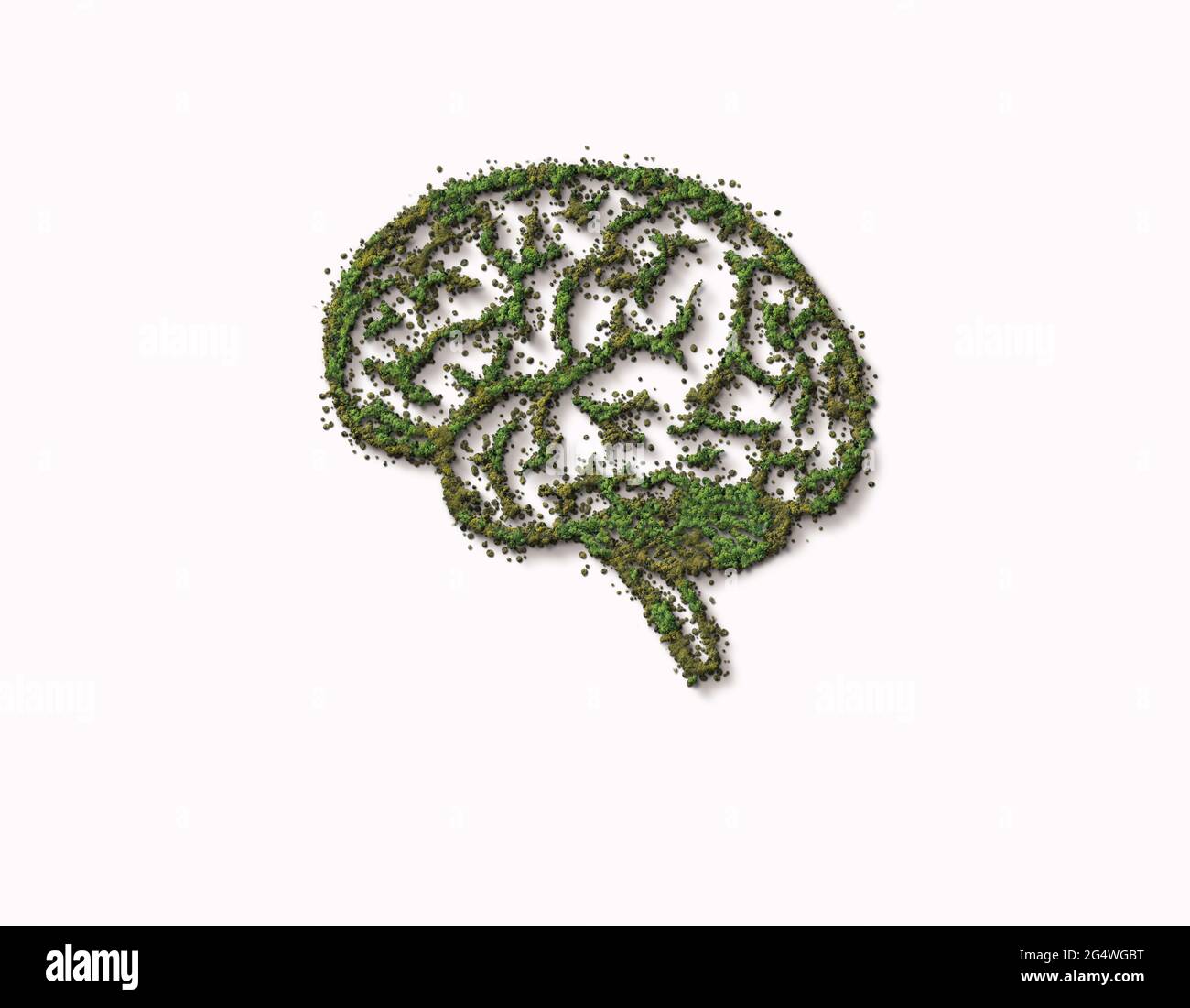 3D le cerveau humain est couvert de forêt verte. Pensez au concept vert. Cerveau d'intelligence sauvage, naturel ou imparfait isolé sur fond blanc. Banque D'Images