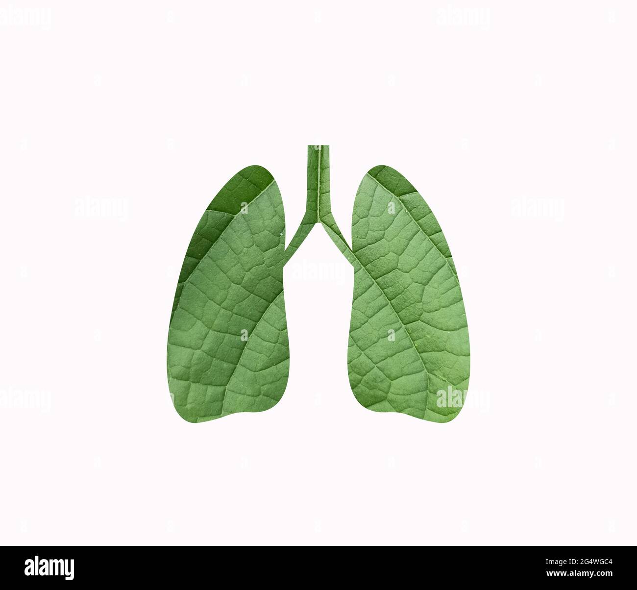 Poumon écologique. Concept de la Journée mondiale du poumon. 3D forme pulmonaire isolée sur une feuille verte. 25 septembre. Journée de l'environnement, Journée de la Terre, Journée de la nature Banque D'Images