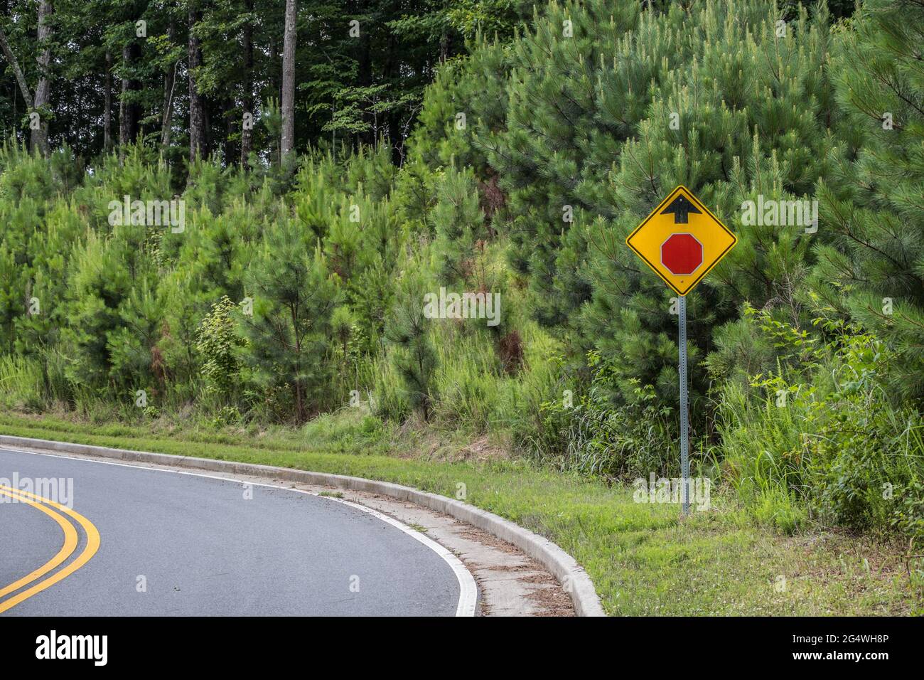 Un panneau de mise en garde STOP Ahead avec un symbole octogonal et une flèche pour avertir d'une intersection à l'approche sur un backroad rural Banque D'Images