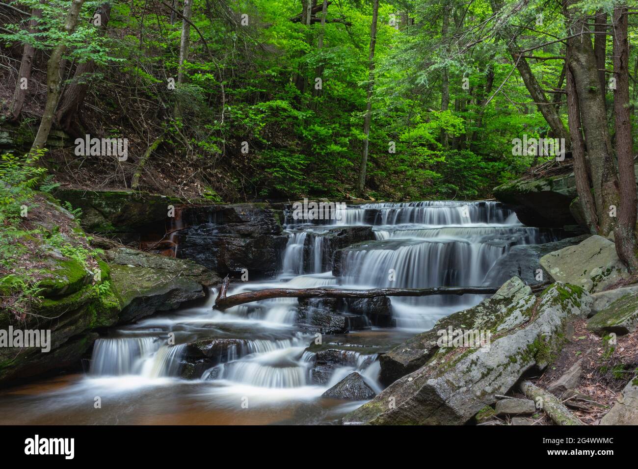 Pigeon Falls dans la forêt nationale d'Allegheny Banque D'Images