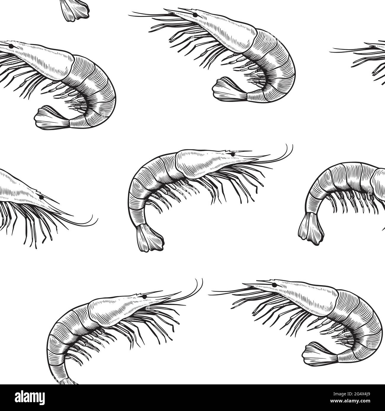 Motif sans couture avec fruits de mer, crevettes, dessiné dans un style de gravure vintage. Dessin à la main, illustration en noir et blanc. Illustration de Vecteur