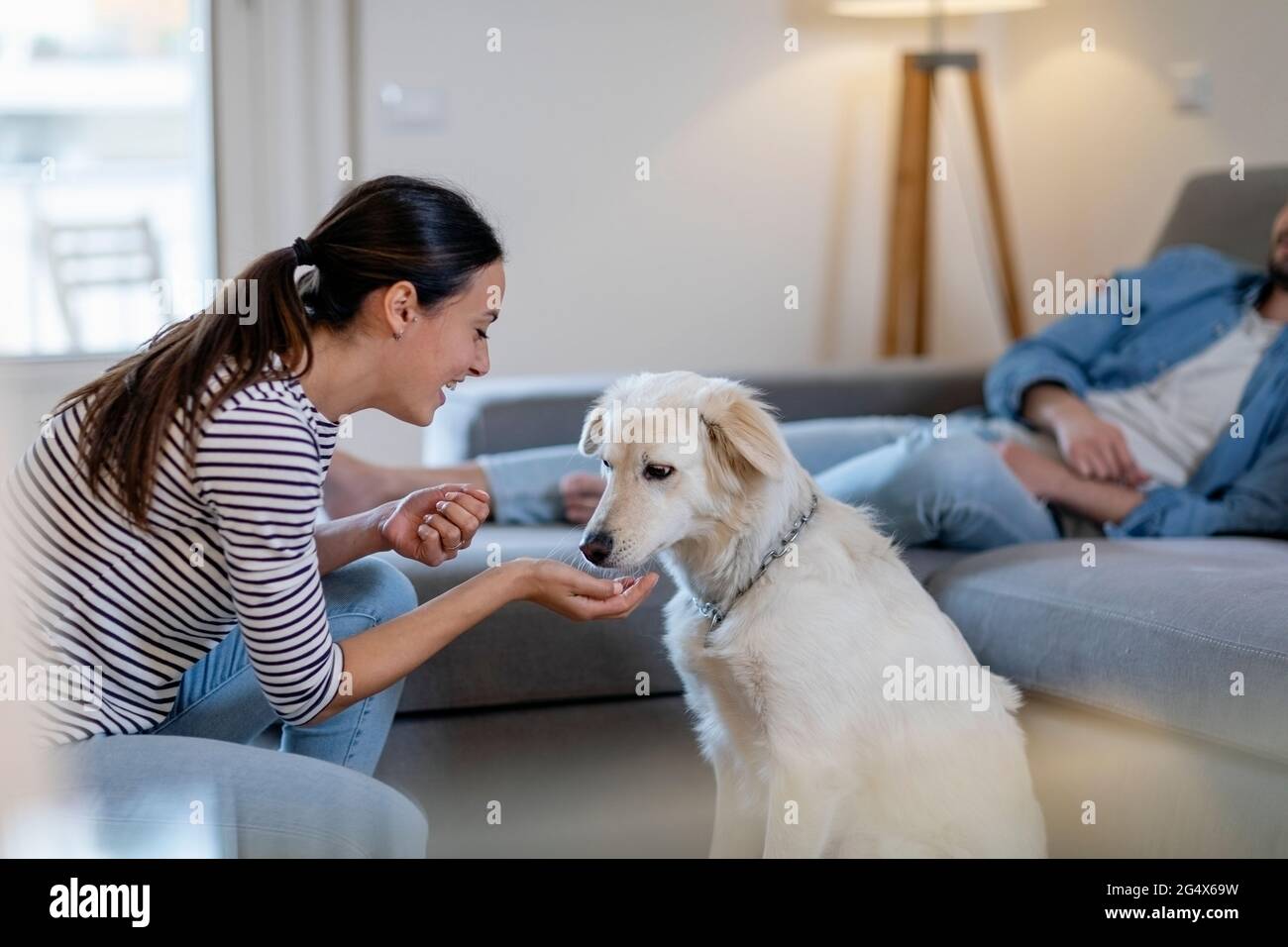 Jeune femme qui allaite son chien dans le salon à la maison Photo Stock -  Alamy