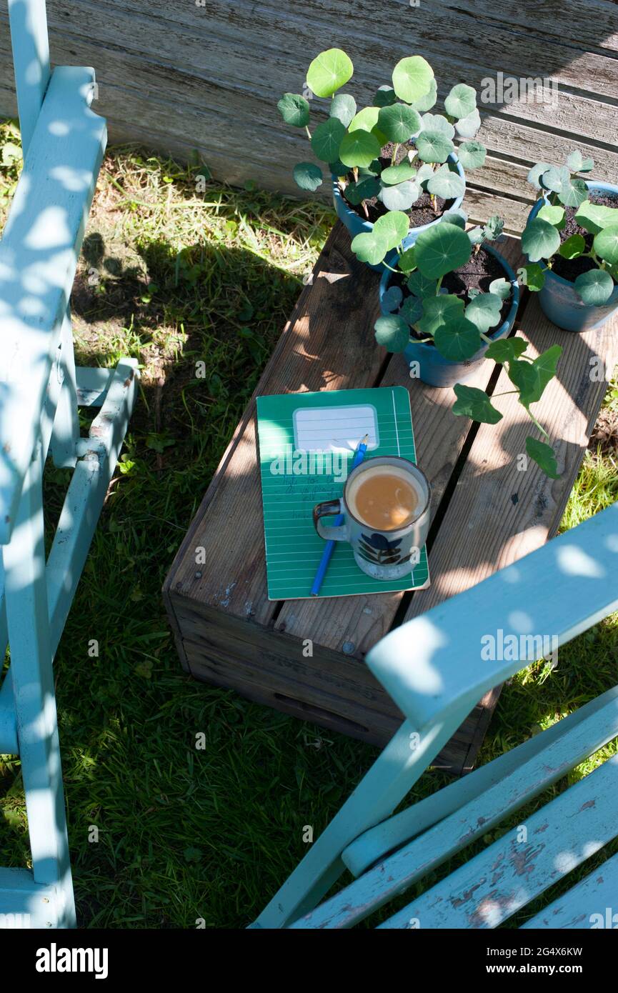 Nasturtium en pot, bloc-notes et tasse de café debout sur la caisse située dans l'arrière-cour Banque D'Images