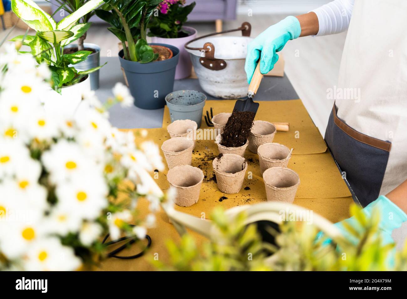 Fleuriste femme mettant le sol dans le pot de fleurs à l'atelier de plantes Banque D'Images