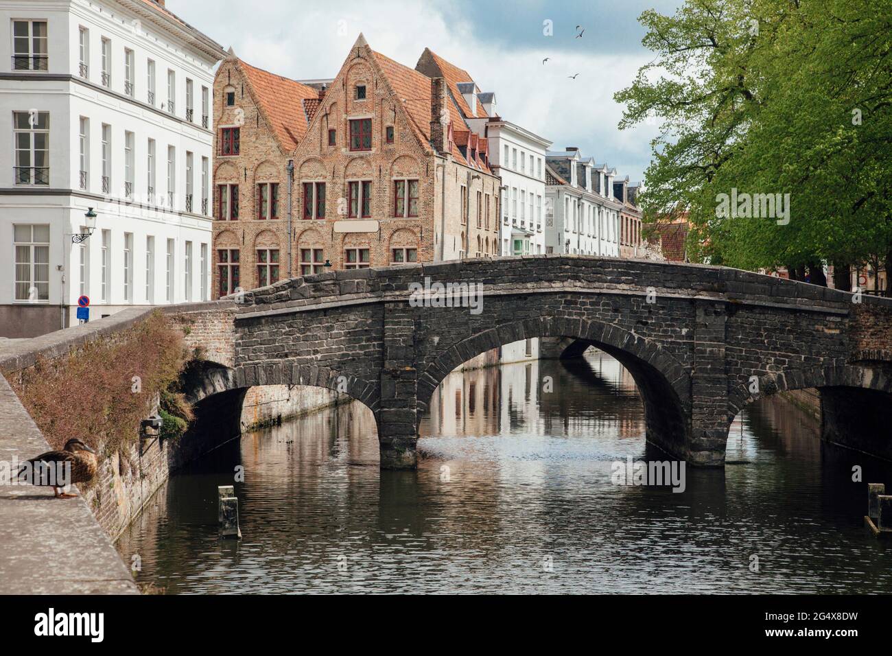 Belgique, Flandre Occidentale, Bruges, Augustijnenbrug qui s'envoûte sur le canal d'Augustijnenrei Banque D'Images