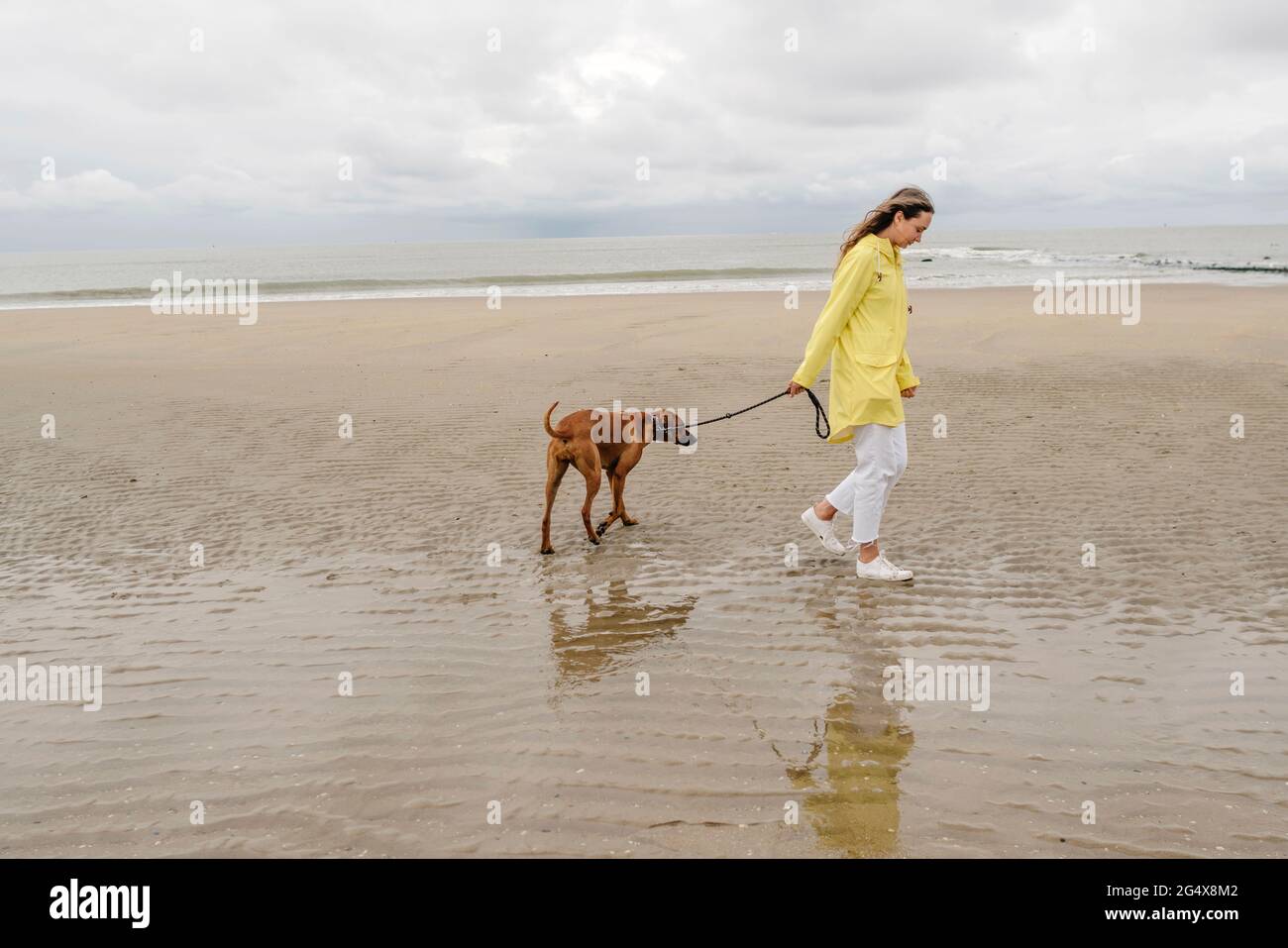 Femme adulte de taille moyenne marchant avec un chien à la plage Banque D'Images