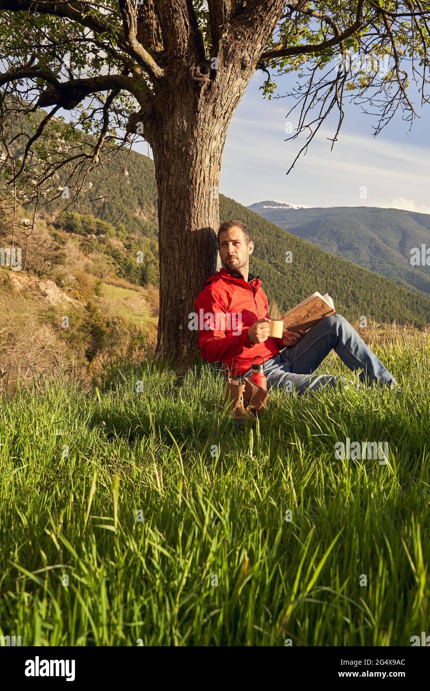 Beau homme regardant loin en s'asseyant sous l'arbre sur l'herbe Banque D'Images