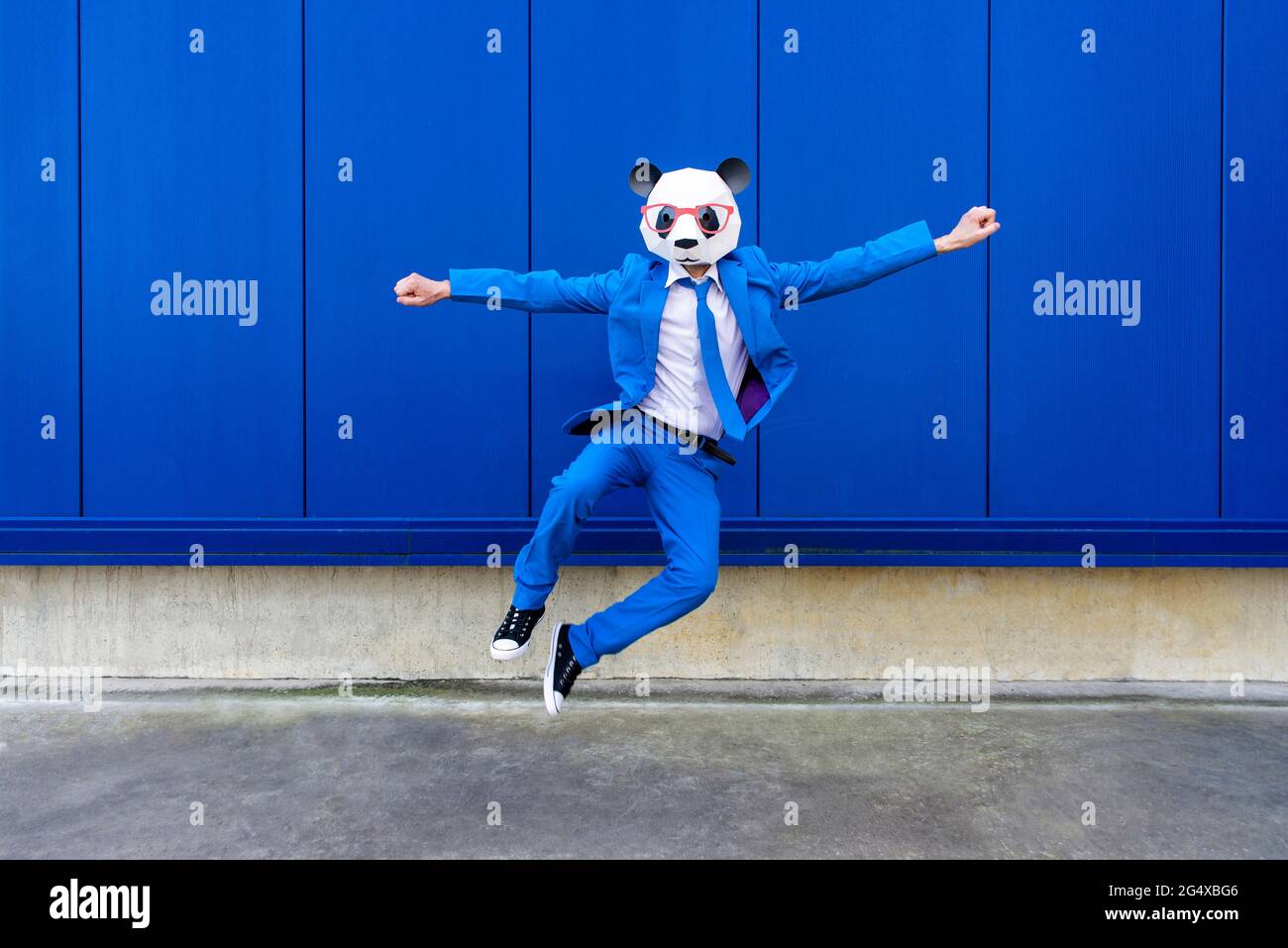 Homme portant un costume bleu vif et un masque de panda sautant contre le mur bleu Banque D'Images