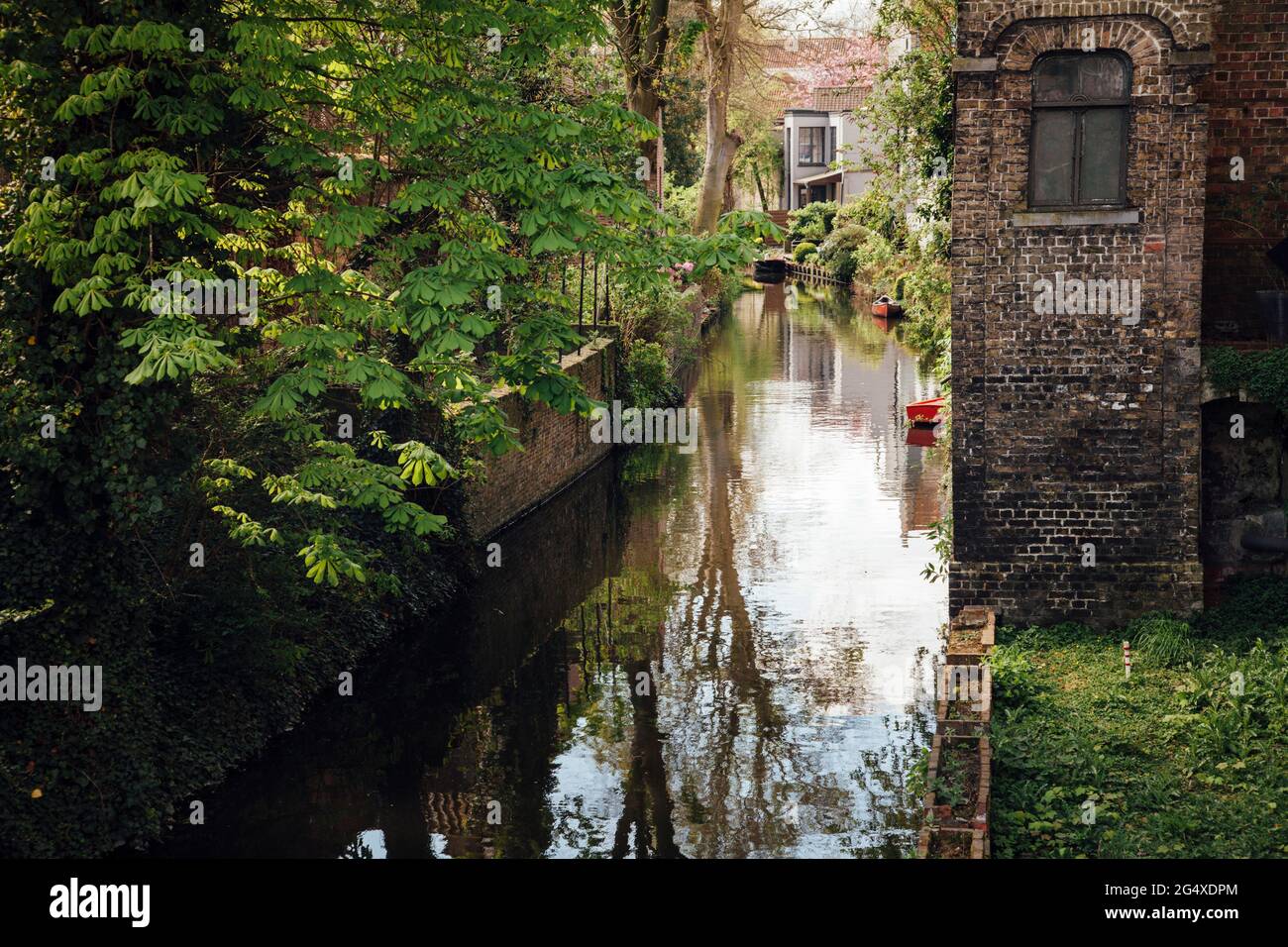 Belgique, Flandre Occidentale, Bruges, surface du canal de la vieille ville au printemps Banque D'Images