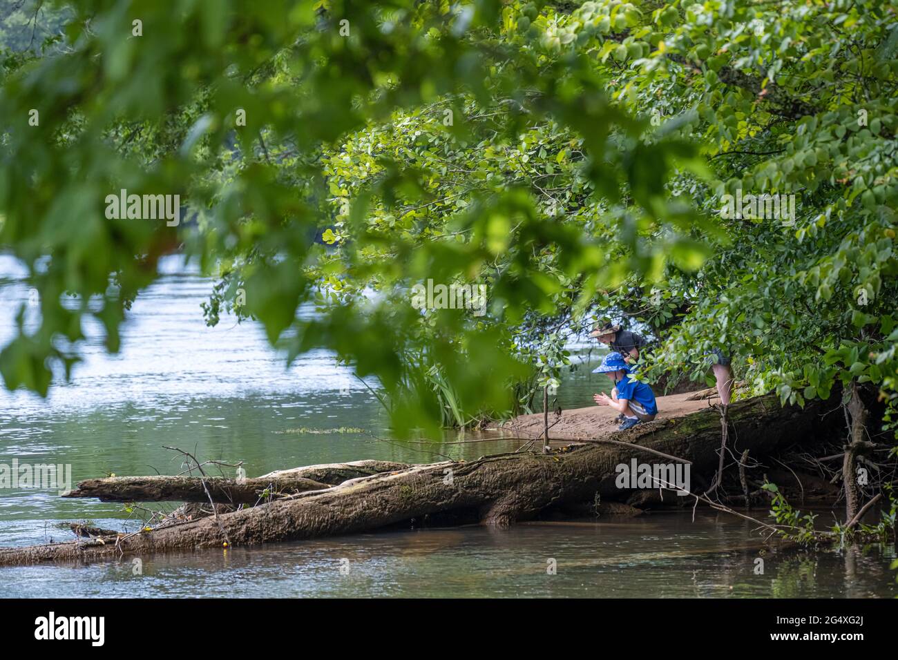 Père et enfants sur la rive de la rivière Chattahoochee au parc Island Ford, dans l'aire de loisirs nationale de la rivière Chattahoochee, près d'Atlanta. Banque D'Images