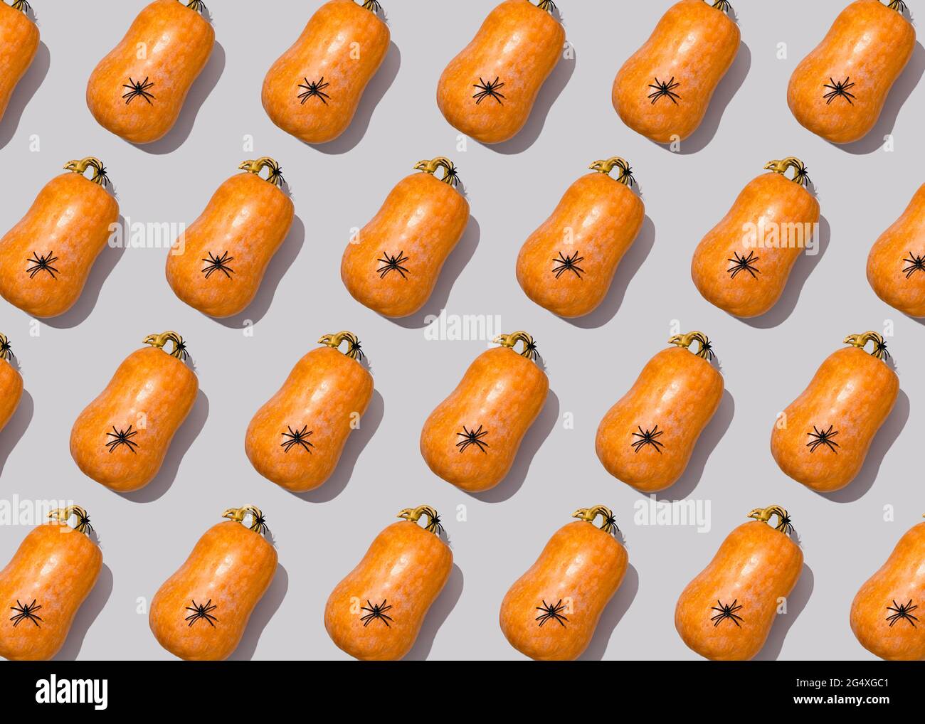 Motif Halloween d'araignées assises sur des citrouilles crues Banque D'Images