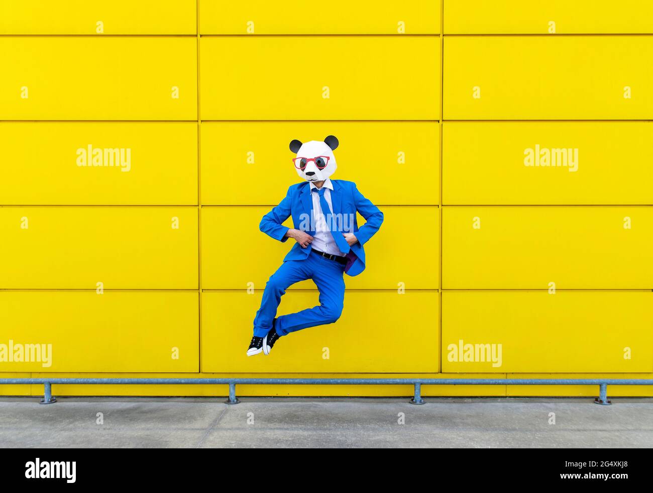 Homme portant un costume bleu vif et un masque de panda sautant contre le mur jaune Banque D'Images