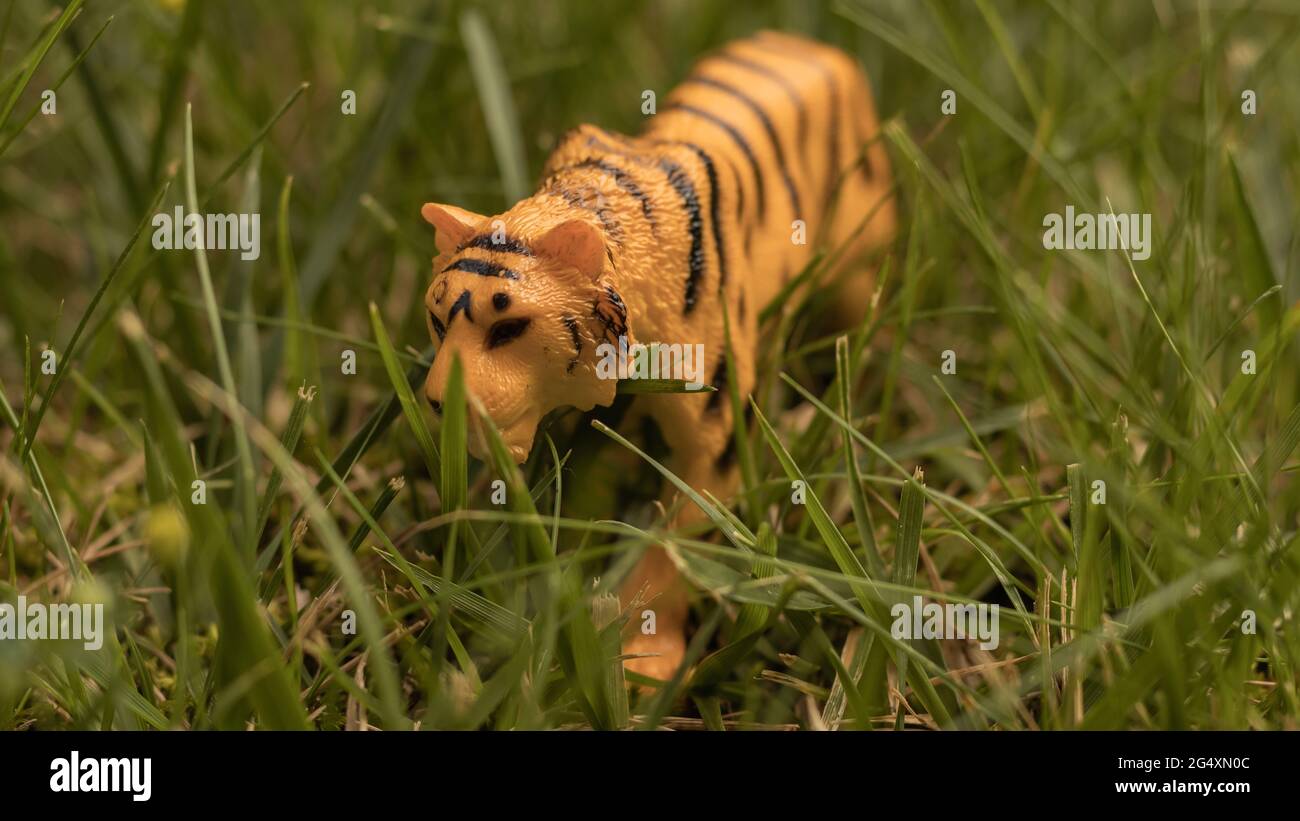 petit tigre en plastique mis dans l'herbe Banque D'Images