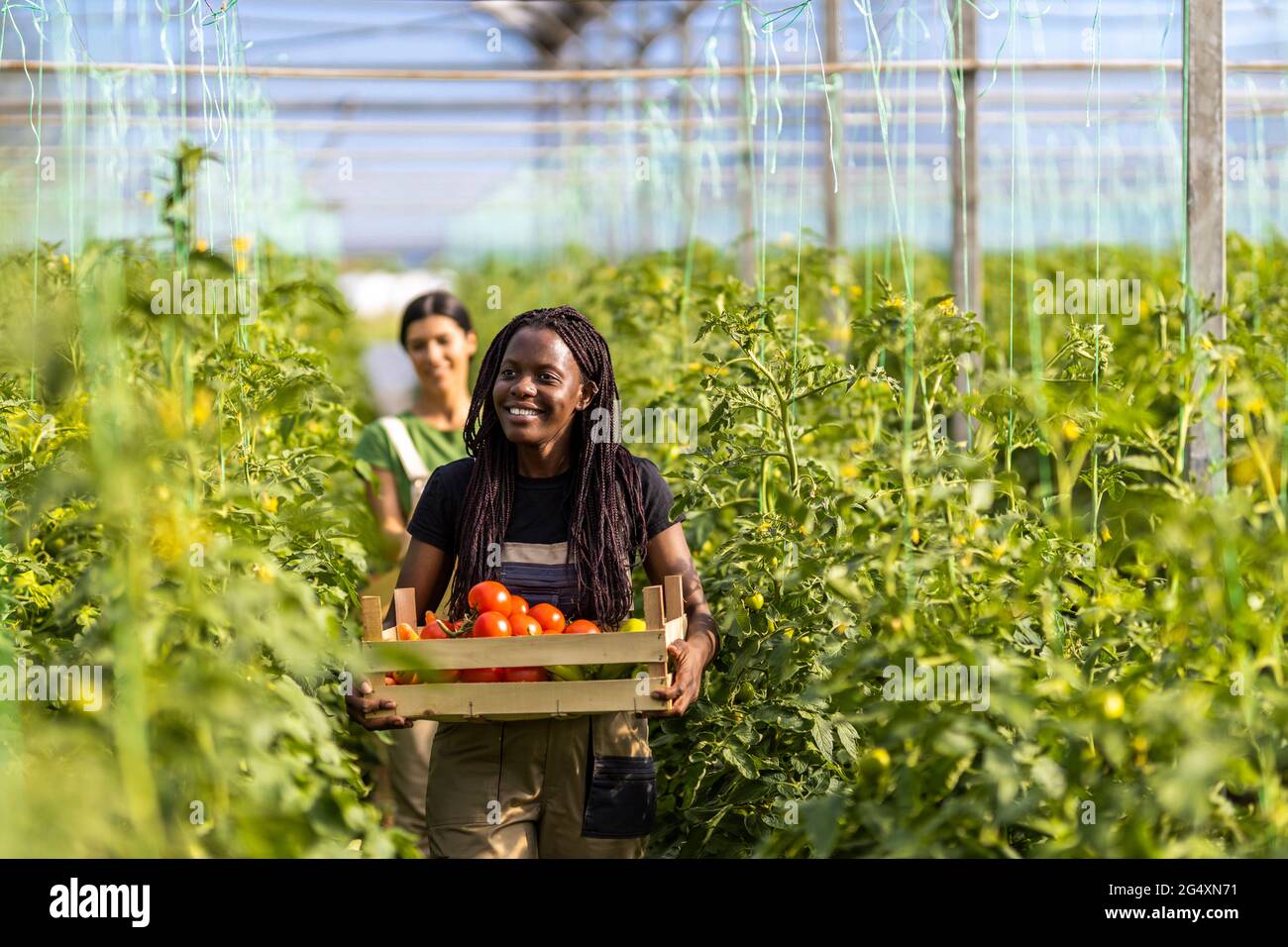 Femme paysanne souriante tenant une caisse de légumes tout en coworker en arrière-plan à la ferme biologique Banque D'Images