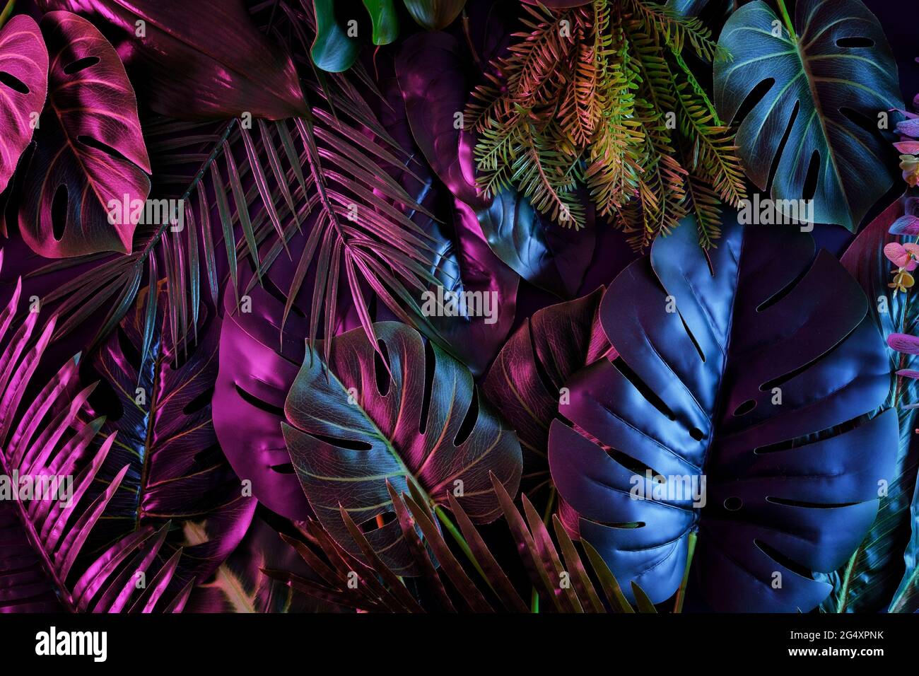 Jungle tropicale de tendance sombre avec éclairage au néon. Palmiers et plantes exotiques de style rétro. Banque D'Images