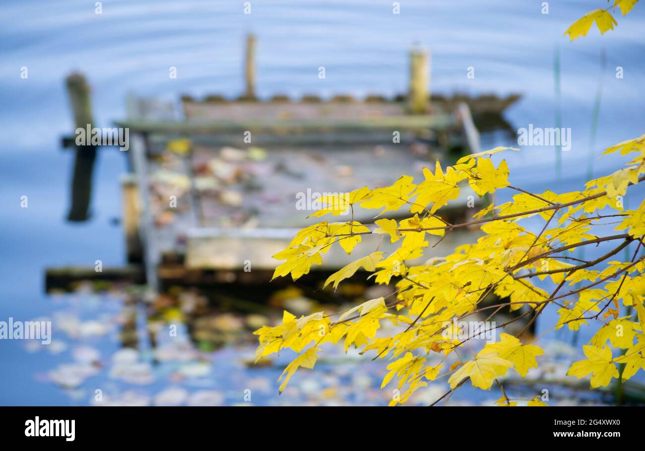 Tabouret en bois tombé laisse angle vieux stands Banque D'Images