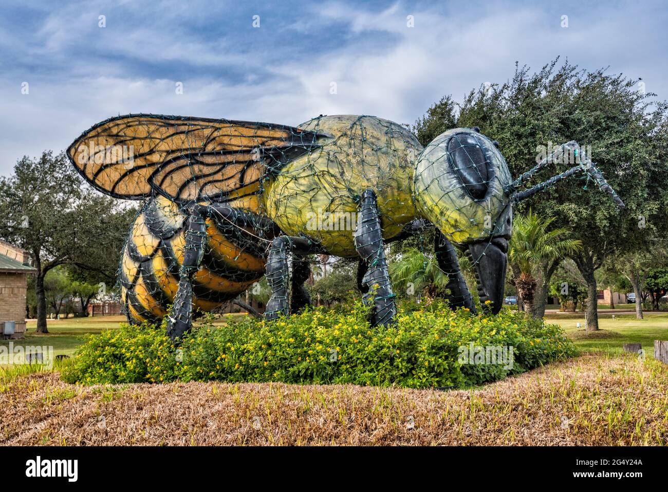 Plus grande abeille tueur du monde, sculpture à Hidalgo, Rio Grande Valley, Texas, États-Unis Banque D'Images