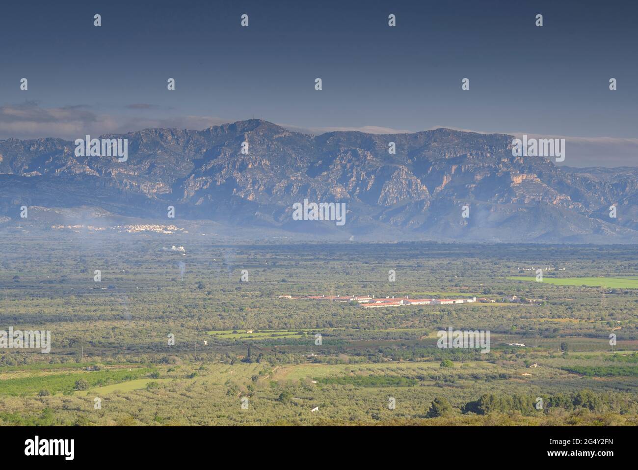 Plaine de l'ALP de la Galera, qui est une immense mer d'oliviers et, en arrière-plan, le massif des ports - Puertos (Tarragone, Catalogne, Espagne) Banque D'Images