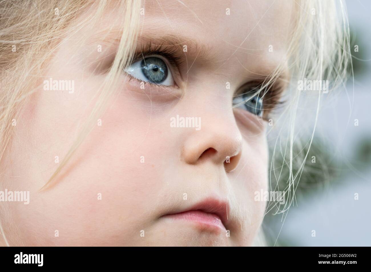 Gros plan sur le visage et les yeux bleus d'une belle fille blonde regardant avec défi Banque D'Images