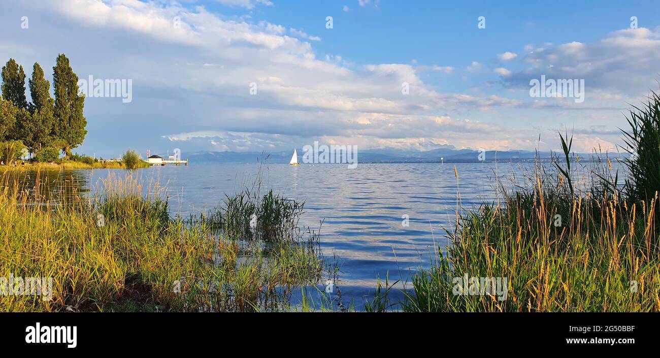 Lac de Constance, Immenstaad Allemagne juillet 2020 dans la soirée vue sur le lac et les montagnes avec roseaux, jetée et bateau à voile sur le lac à bea Banque D'Images