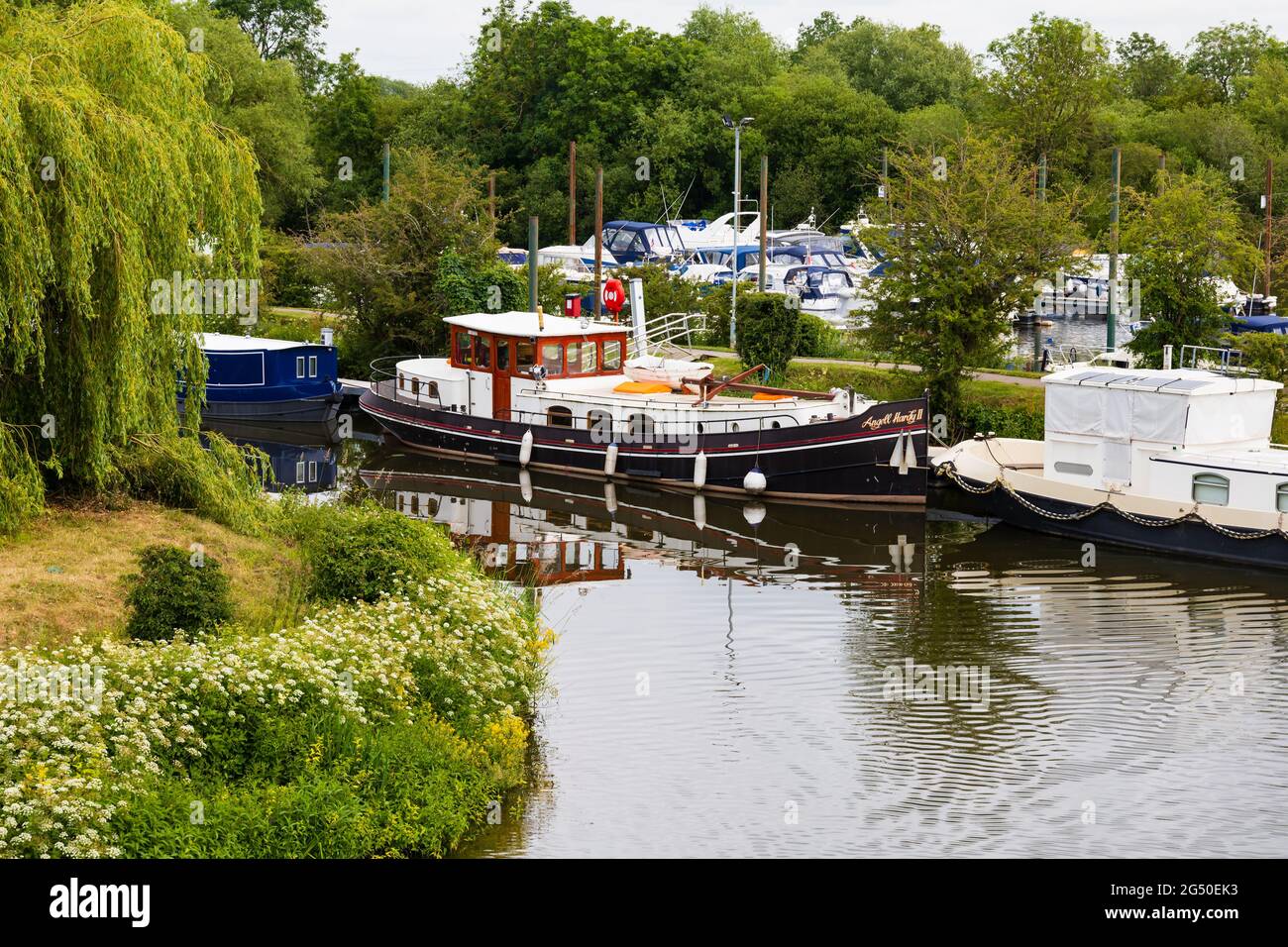 Bateaux amarrés à Farndon Marina, près de Newark, dans le Nottinghamshire, en Angleterre. Banque D'Images