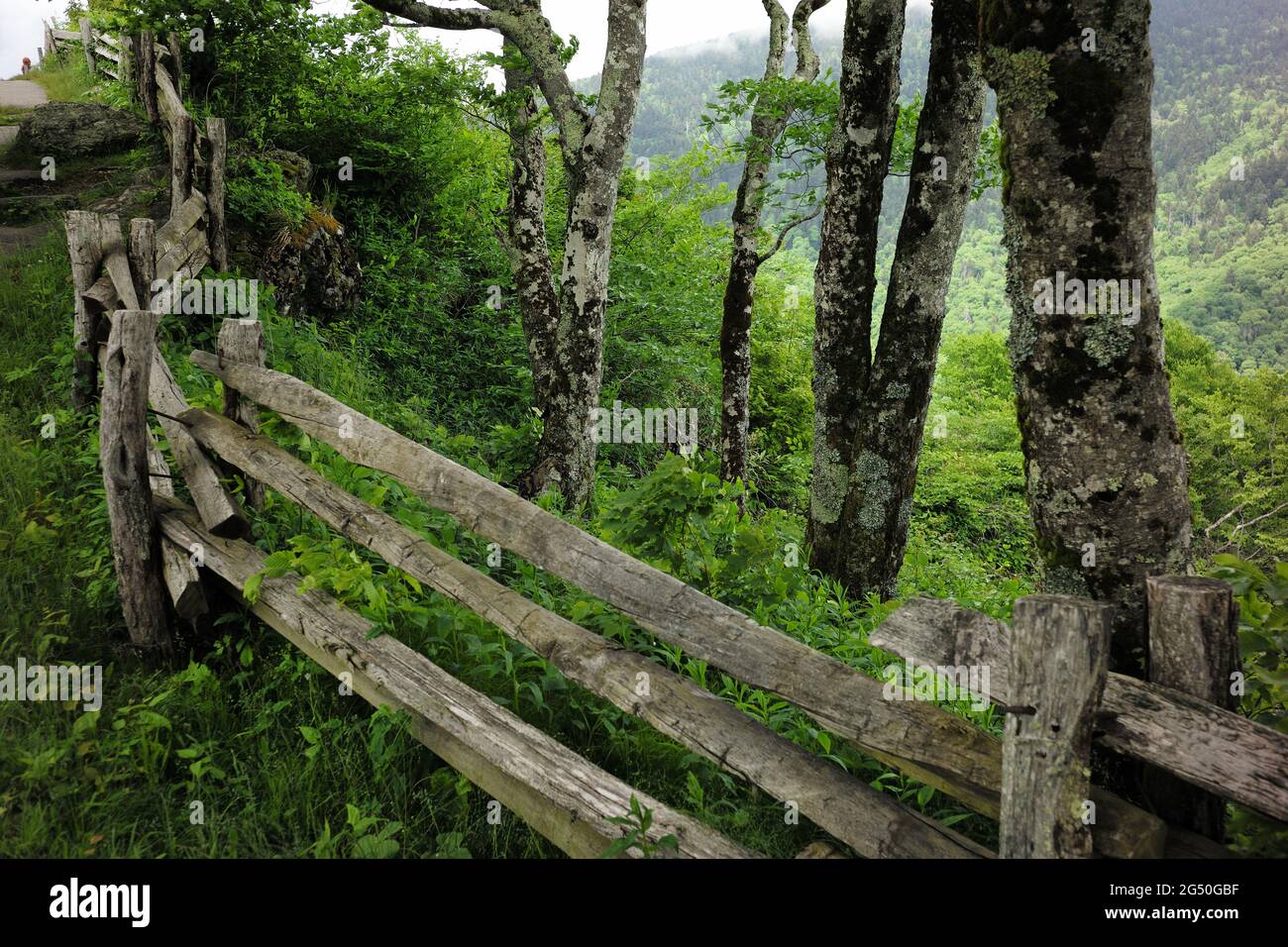 Sentier le long des Great Craggy Mountains, Blue Ridge Parkway, Caroline du Nord. Banque D'Images
